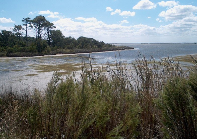 False Cape State Park, Virginia, USA